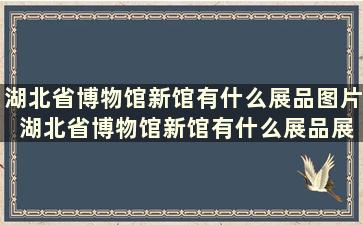 湖北省博物馆新馆有什么展品图片 湖北省博物馆新馆有什么展品展览